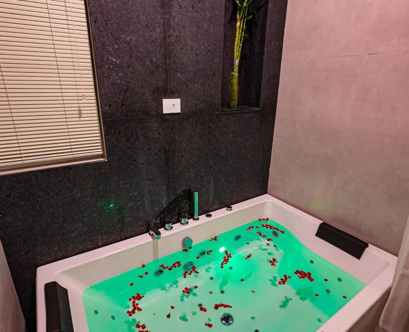 Resort S R Spa Suites Mysore
